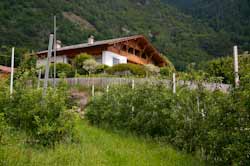 Pension Wolfbrunn im Mai 2009