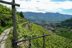 Algunder Waalweg | Sentieri della Roggia di Lagundo