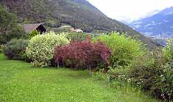 im Garten | in giardino
